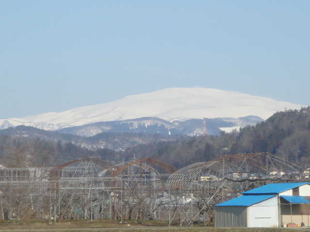 DSC08783