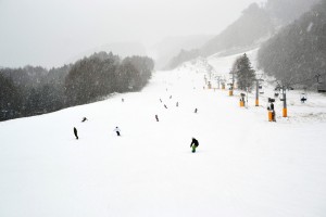dsc_0029-300x200