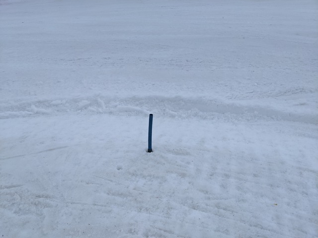 PXL_20210429_021344514