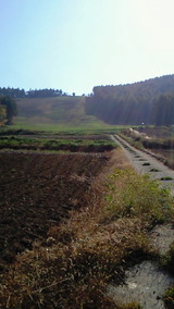 a528bdcb.jpg