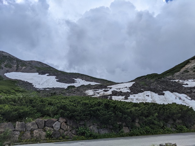 PXL_20220730_052741403