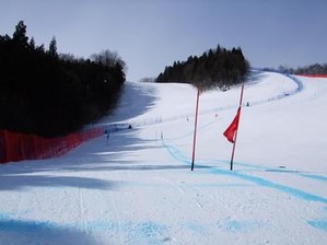 201302223