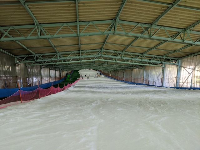 PXL_20211114_020640869