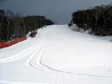 img_1527586_46803561_0