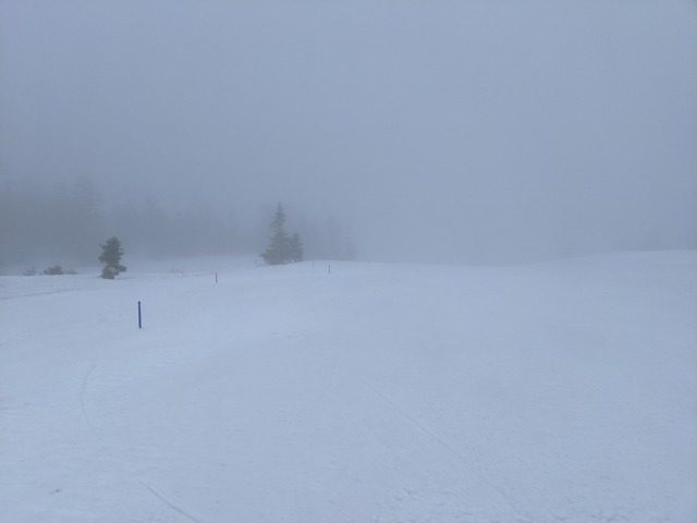 PXL_20210429_010502206