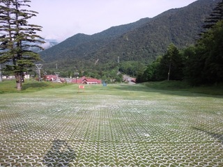 e4227913.jpg