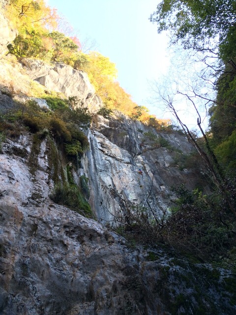 2015-11-04-12-24-15