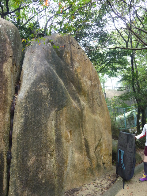 P1010462