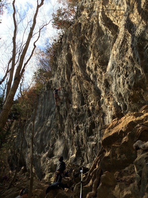 2014-11-23-12-42-47