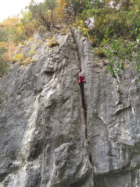 2015-11-01-15-48-29