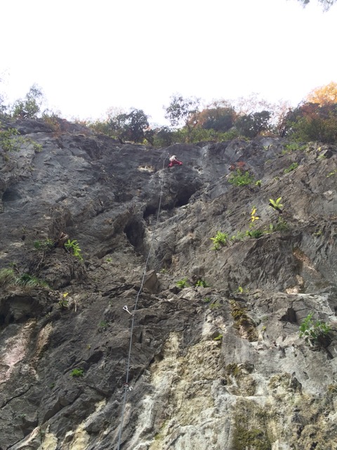 2015-11-07-15-13-15