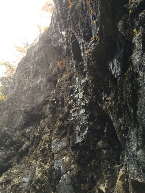 2015-11-08-09-27-40