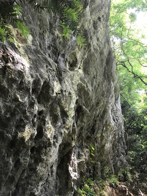 2017-07-24-12-35-49