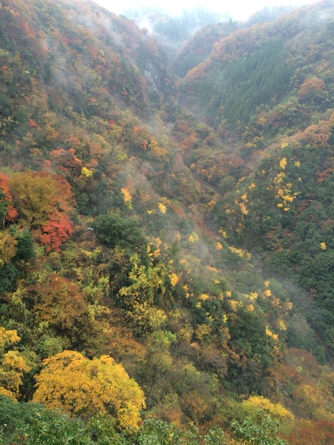 2015-11-08-10-10-56