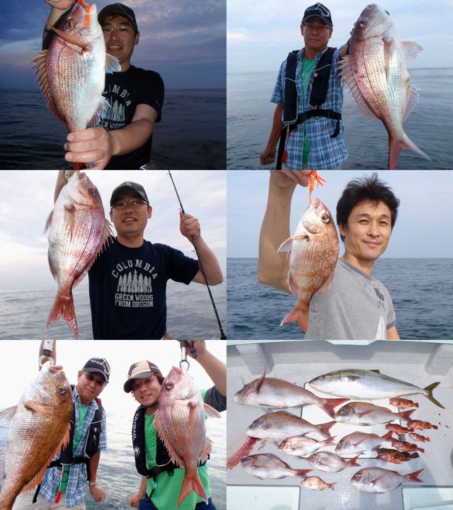 マダイ　釣果写真
