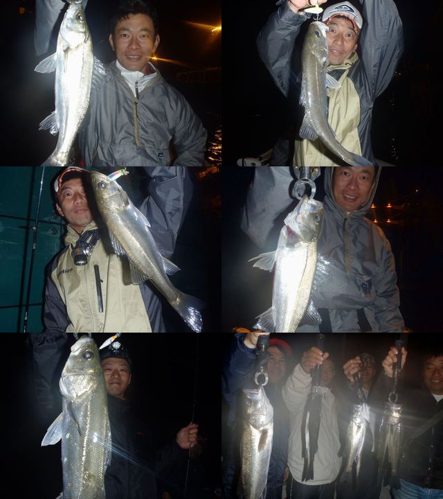 シーバス　釣果写真