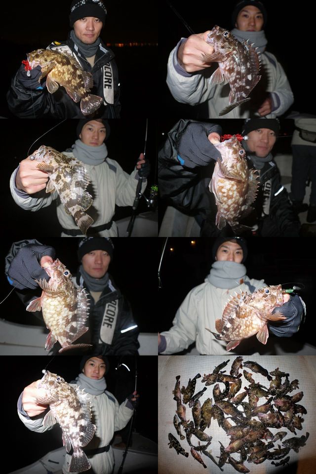 ロックフィッシュ 釣果写真