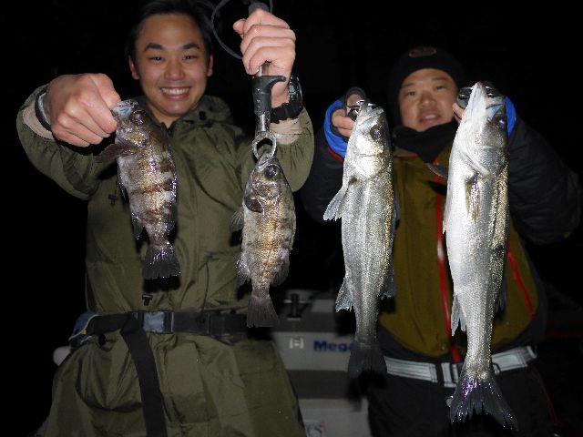 名古屋港　メバル＆シーバス