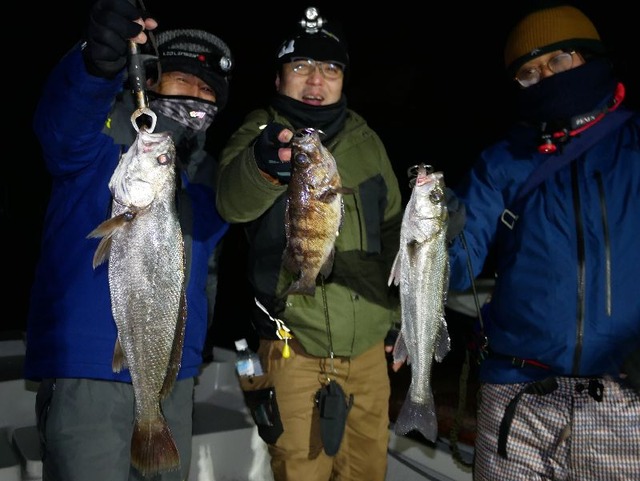名古屋港　シーバス　根魚　メバル