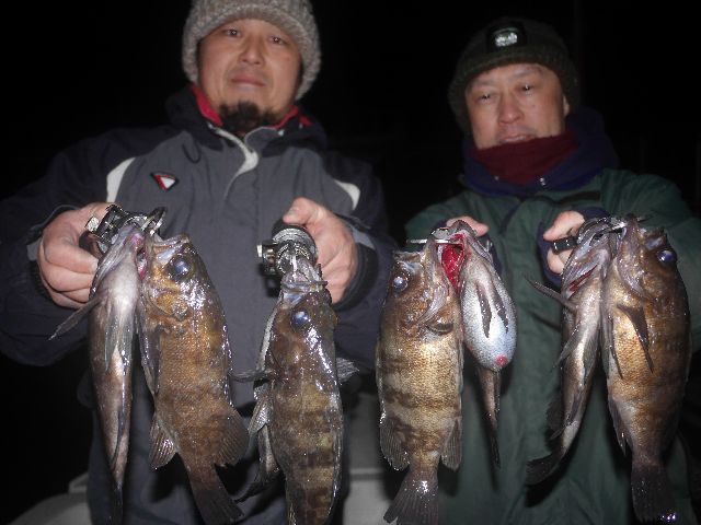 名古屋港　メバル