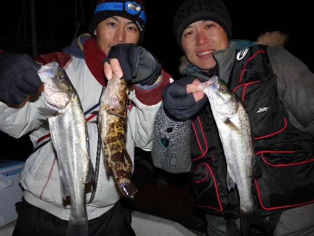 名古屋港　シーバス＆根魚