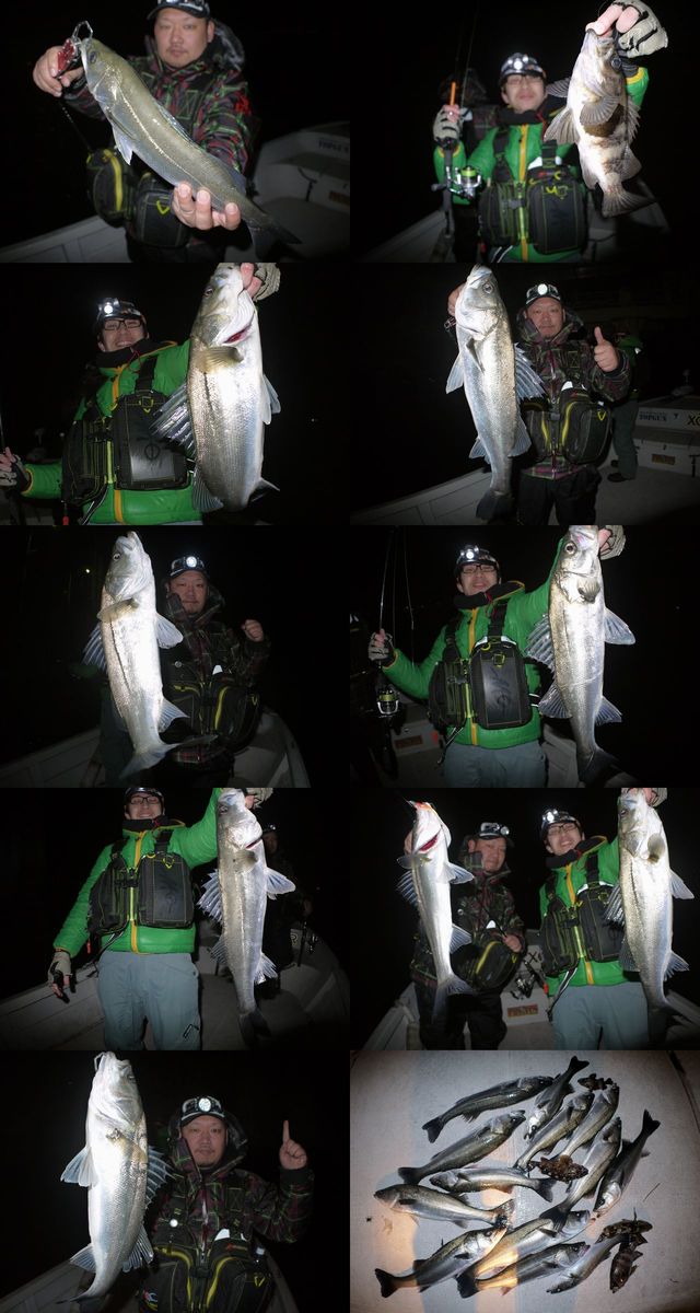 シーバス　釣果写真