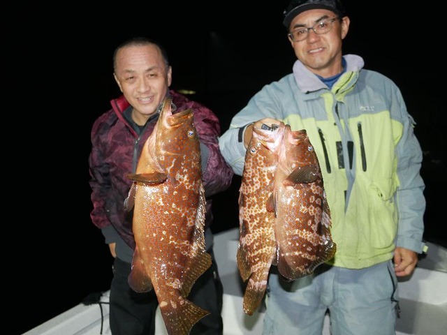 名古屋港キジハタ