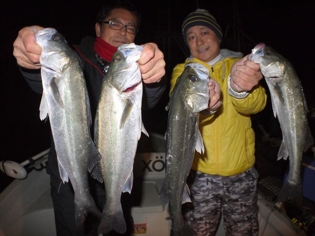 名古屋港　シーバス