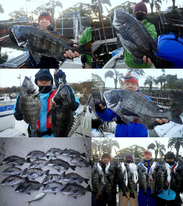 クロダイ 釣果写真
