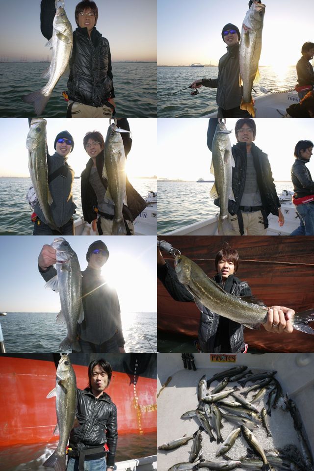 シーバス　釣果写真