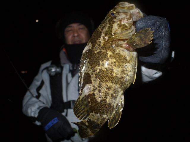 根魚　#2