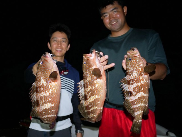 名古屋港キジハタ