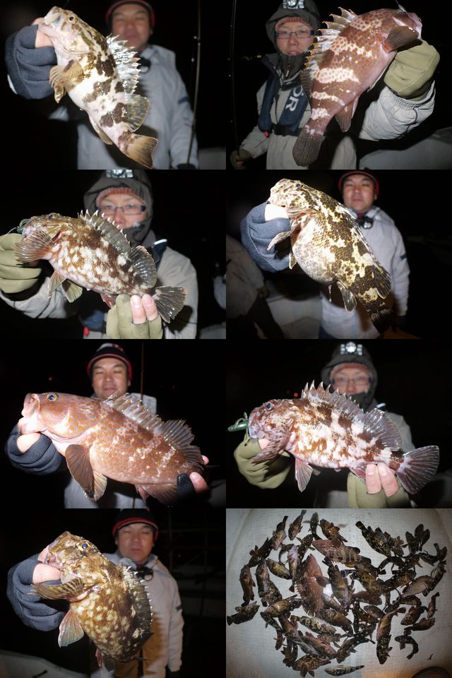 ロックフィッシュ　釣果写真