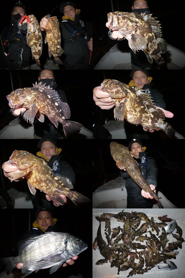 ロックフィッシュ　釣果写真