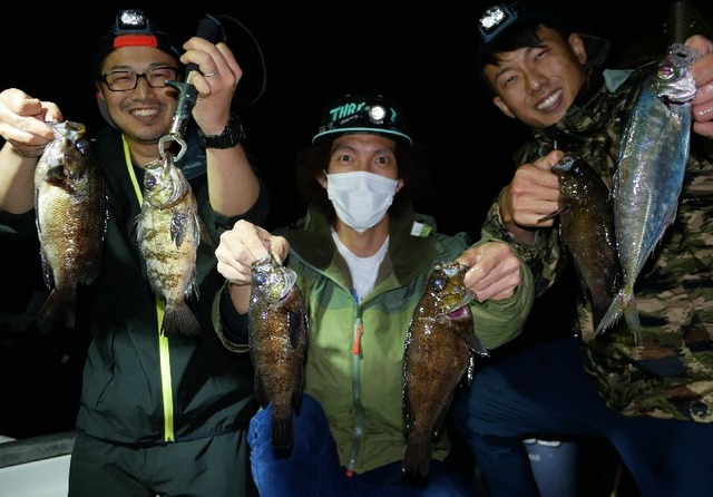 メバル　アジ　キジハタ