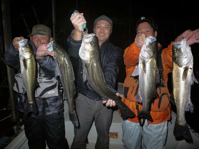 シーバス　釣果写真
