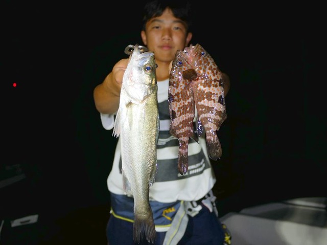名古屋港 キジハタ 根魚 シーバス