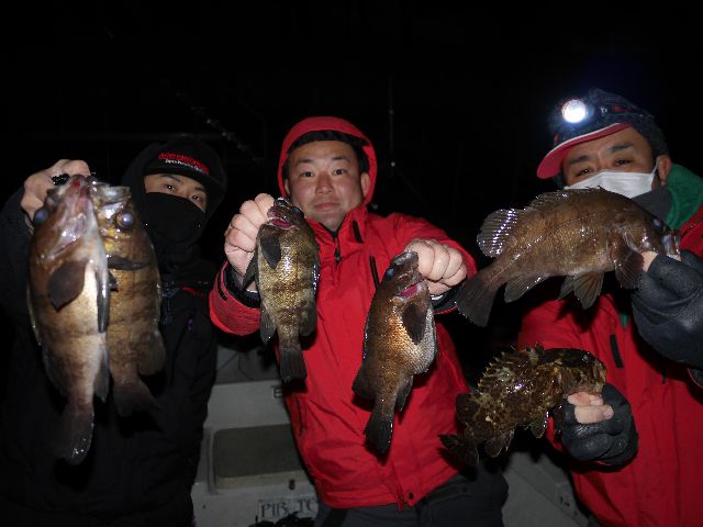 名古屋港 メバル&シーバス