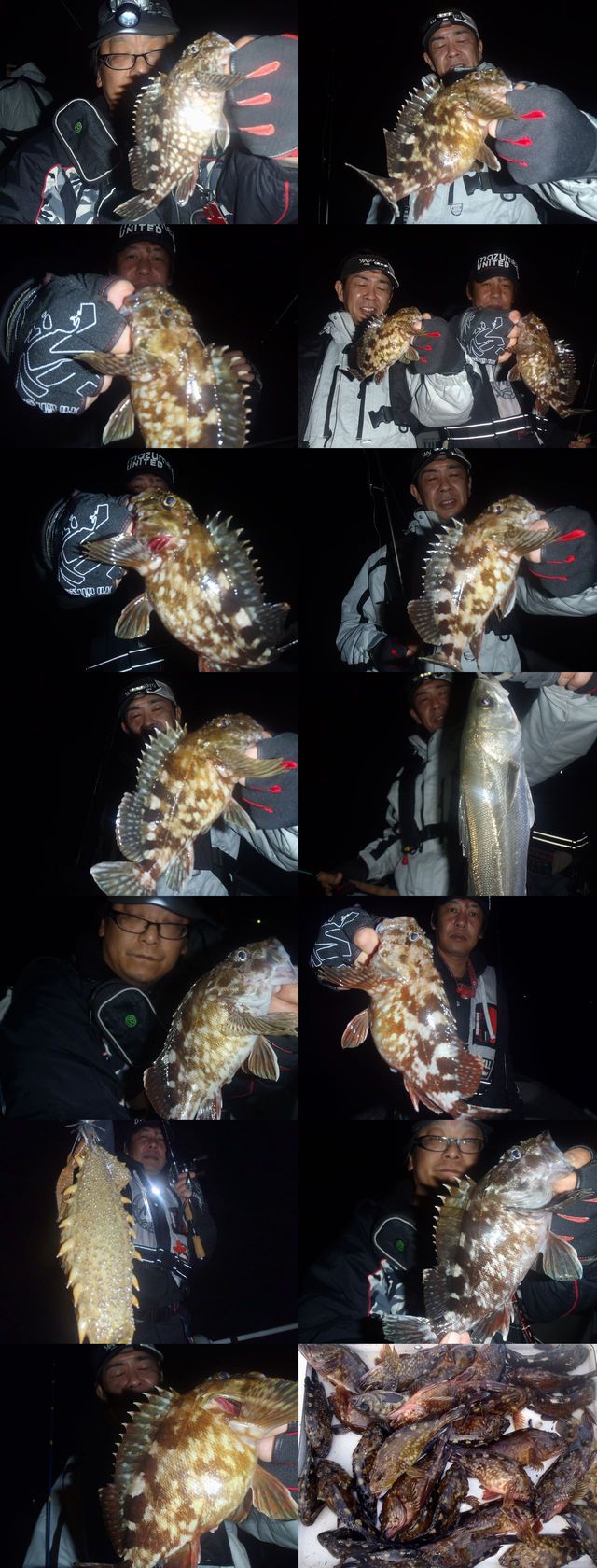 根魚　釣果写真