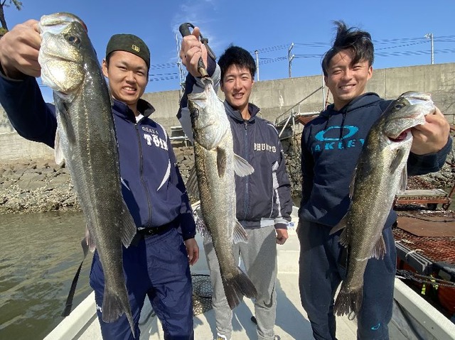 名古屋港　シーバス
