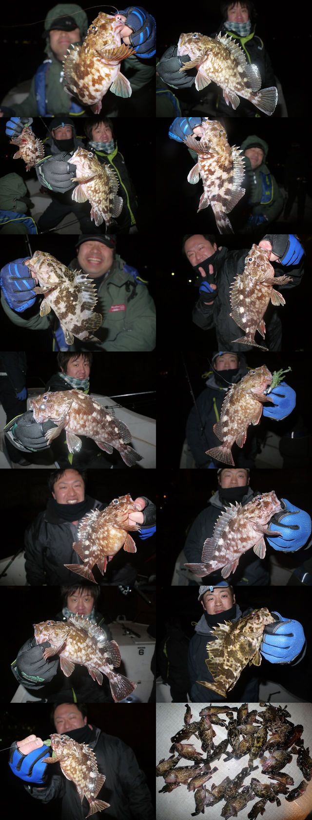 根魚　釣果写真