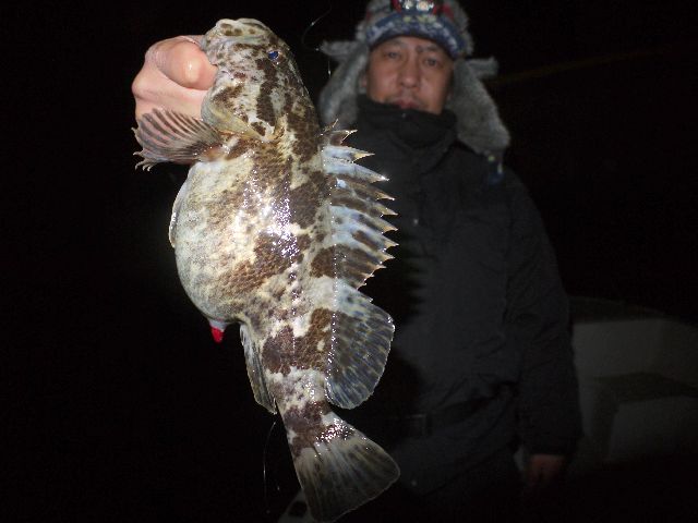 根魚　#1