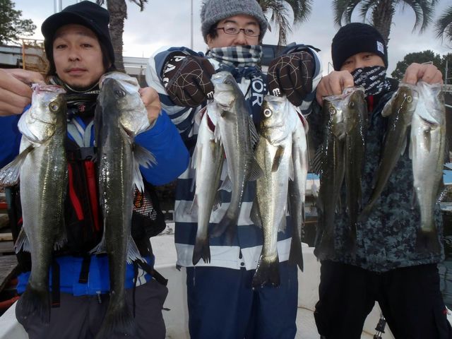 名古屋港　シーバス