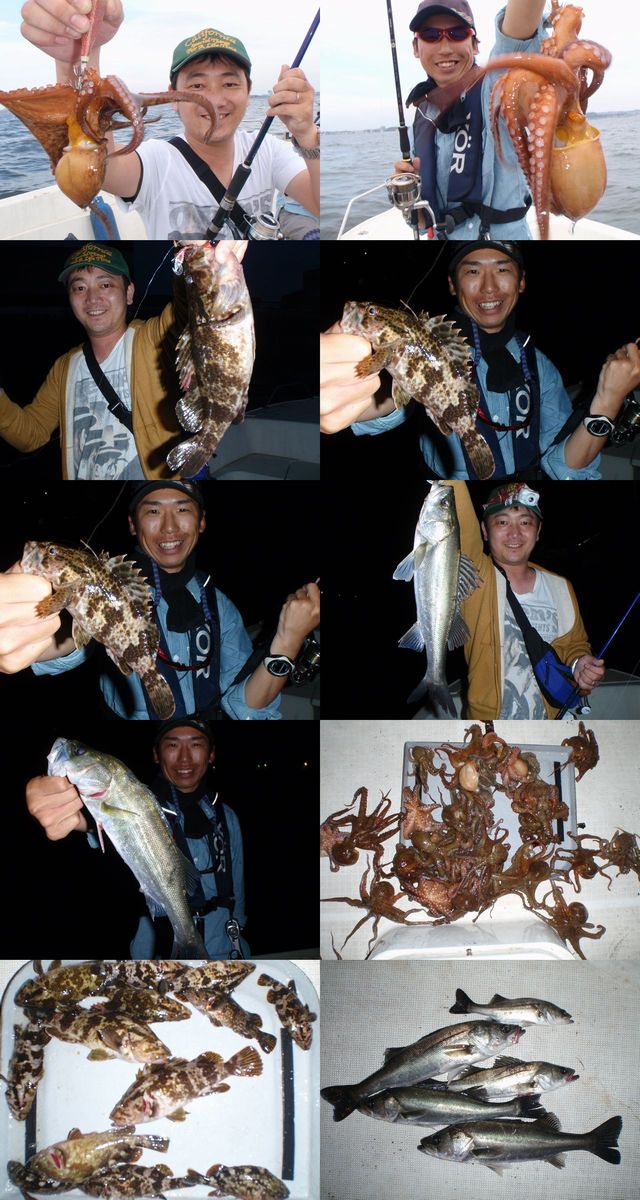 マダコ　根魚　シーバス　釣果写真