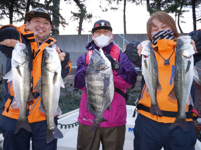 名古屋港　シーバス