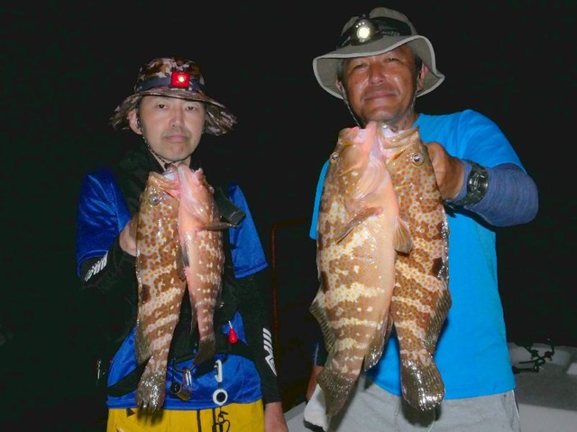 名古屋港キジハタ