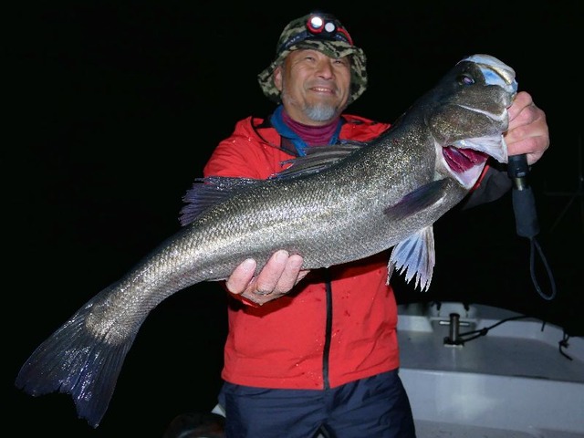 名古屋港シーバス