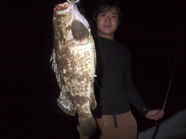 良型ベッコウゾイ