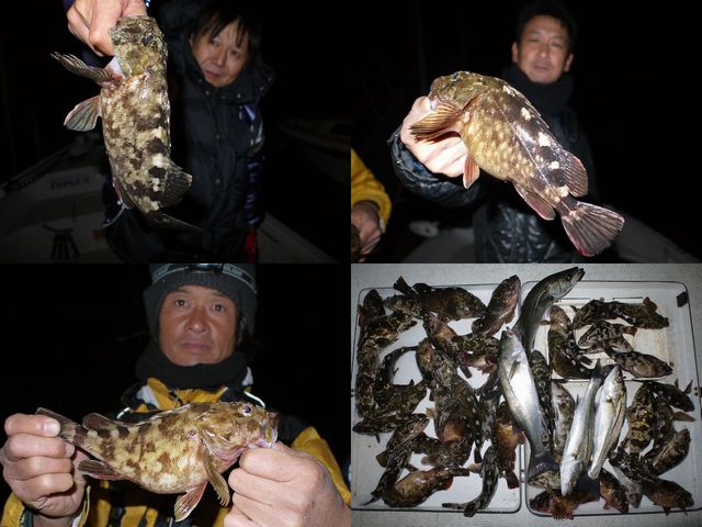 根魚　釣果写真