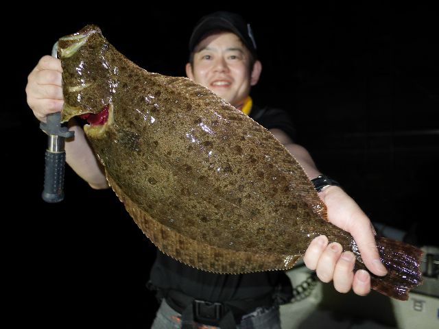 名古屋港 ヒラメ